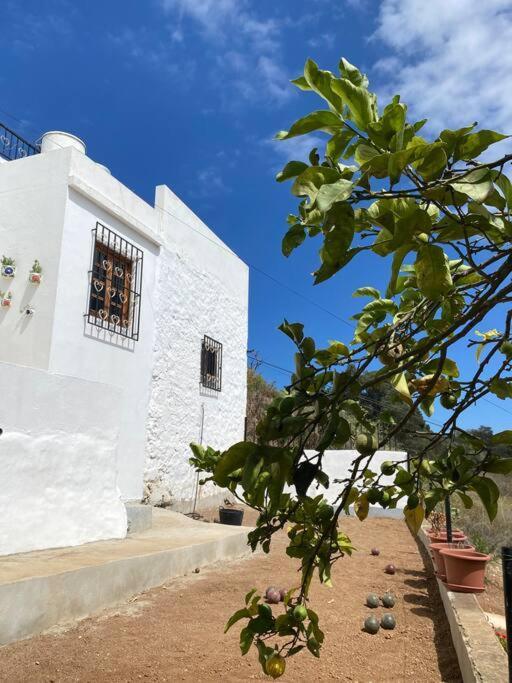 Ferienhaus Casa Aya